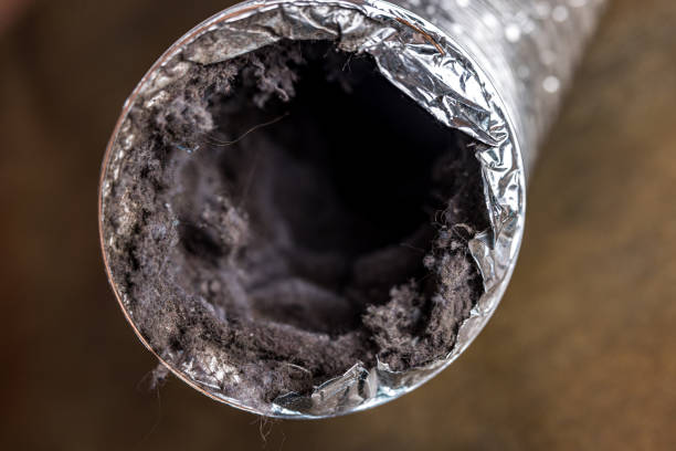 Best Emergency Air Duct Cleaning  in Kissimmee, FL