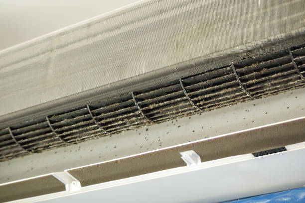 Best Residential Air Duct Cleaning  in Kissimmee, FL